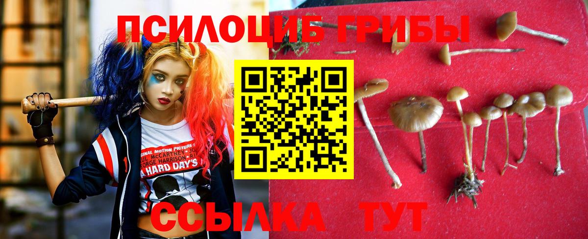 Галлюциногенные грибы Cubensis Рославль